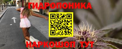 jwh Пыть-Ях